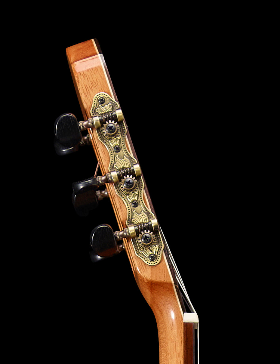 the Tool Thinline